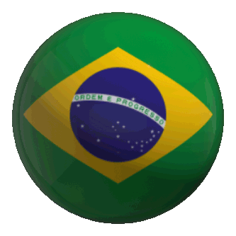 Brazil Flag